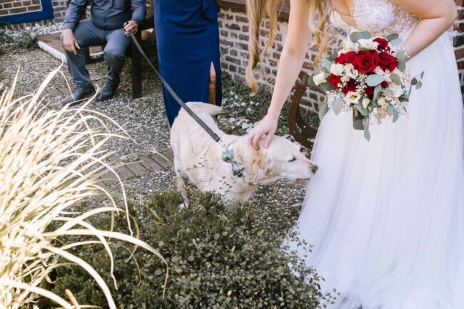 Hochzeitsfotografin sauerland hochzeitsfotograf nrw geldern duisburg ruhrgebiet miriam folak essenberg hochheide kirche schloss walbeck hochzeitslocation nrw (395)