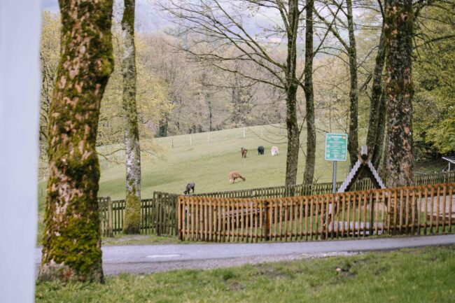 sauerland hochzeitsfotografin ruhrgebiet hochzeitsfotograf oberberg schalksmühle hochzeitslocation nrw hülscheid lüdenscheid hochzeitsmesse gummersbach attendorn (339)